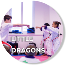 LITTLE  DRAGONS