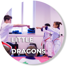 LITTLE  DRAGONS