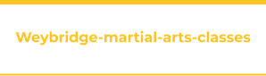 Weybridge-martial-arts-classes