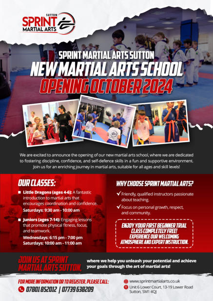 KIds Martial Arts Sutton