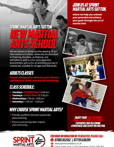 Adults Martial Arts Classes Sutton